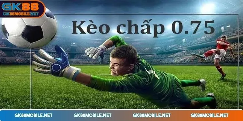 keo-chap-0-75